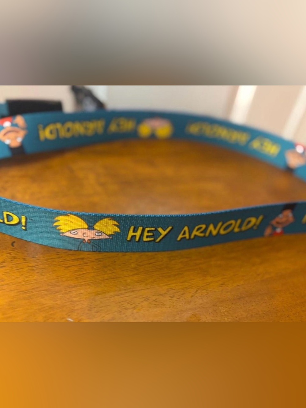 Teal Hey Arnold! Graphic Web Belt for Men